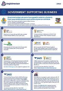 Government Supporting Business